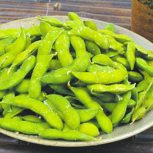 枝豆 だだちゃ豆 1kg 山形産 冷蔵便 食品のサムネイル