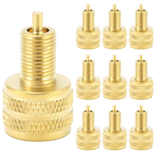 QWORK 10-Pack Gold Large Bore Tire Valve Adapter Set – Converts Large Bore to Standard Bore for Cars...