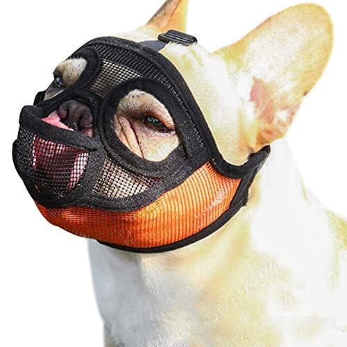 The Best Muzzle For Shih Tzu In 2023 11 Good Muzzles Reviewed By Our
