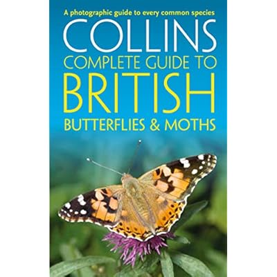 British Butterflies and Moths