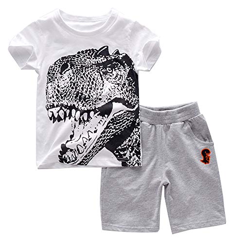 Image of Toddler Boy Clothes Cartoon Cotton Summer Short Sleeve T-Shirt and Shorts Kids Outfit Set 2-7 Year