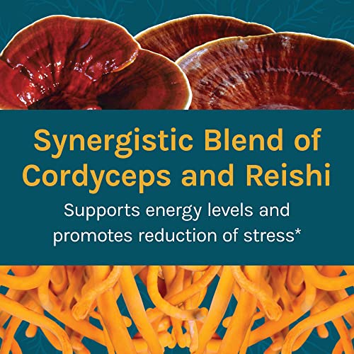 Host Defense, Cordychi Extract, Stress And Fatigue Reduction, Mushroom Supplement With Cordyceps And Reishi, Plain, 2 Fl Oz (Pack Of 1) #TOP2