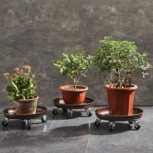 Flrisntig BRONZE16INCHX2 2 Pack 16 Inch Heavy Duty Plant Dolly With Wheels, 320Lbs Metal Rolling Plant Stand With Casters, Round Wheeled Planter Caddy Roller Base Carry Potted Tree Flower Pot For Indoor Outdoor Garden thumb #5