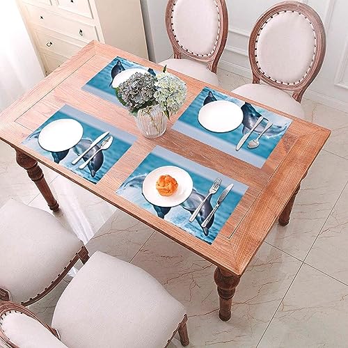 Set de table en vinyle anti-rayure et résistant à la chaleur pour table de salle à manger