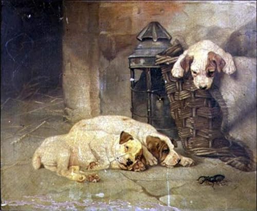 Cuadro El Intruso de Lilian Cheviot para decoracion de salon en lienzo de 60x90cm