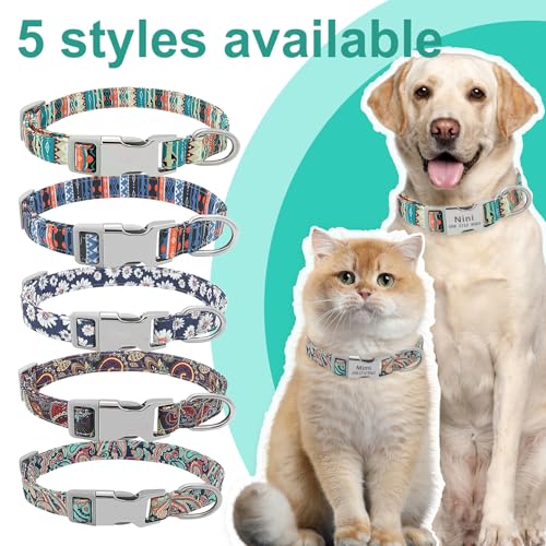 Personalisiertes Hundehalsband Mit Namen & Telefonnummer, Verstellbares Halsband für kleine, mittlere & große Hunde – Individuell für Rüden & Hündinnen (Lila)