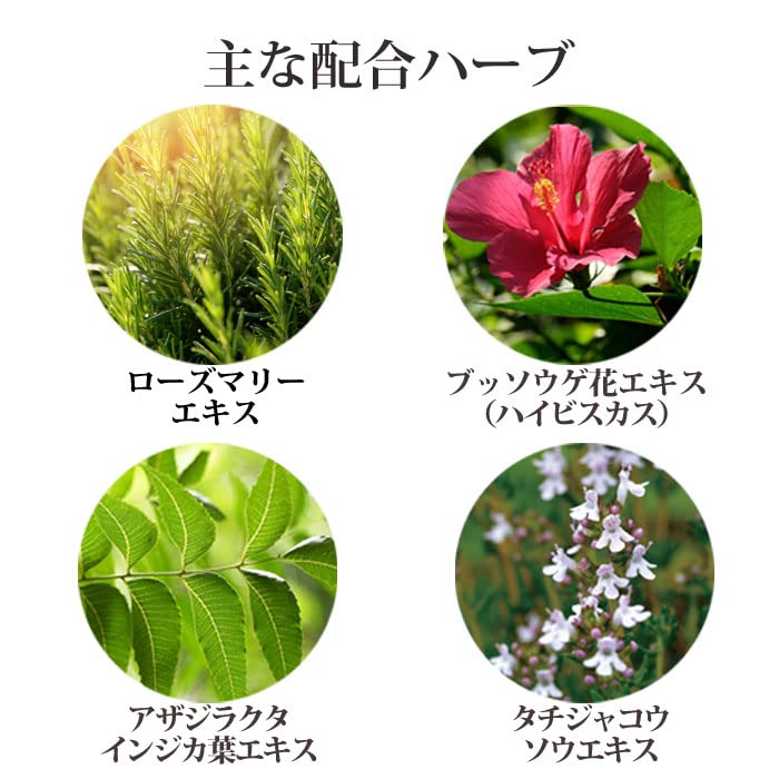 シャータイム 1000ml シャナーズ アーユルヴェーダ