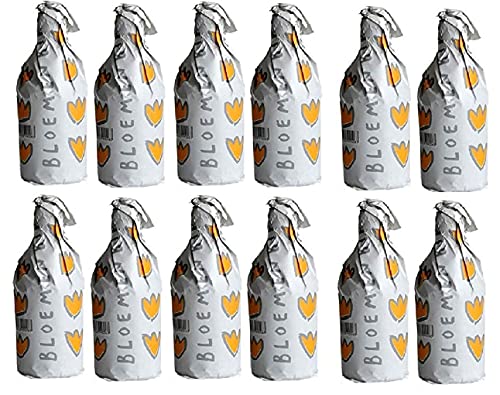 BROUWERIJ DE PROEF 12 Bottiglie Birra Bloemenbier 33 cl Belga Bionda Giallo Dorato Belgio Artigianale Luppolo Malto, Birra Bloemenbier 12 Bottiglie - 3,96 Litri