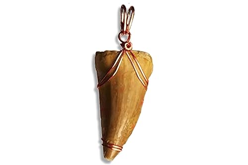 Mosasaurus Tooth Pendant in Copper Wire Wrappng, Real Dinosaur Mosasaur Fossil Pendants, Dino Jewelry, mosasaur tooth fossil Mosasaur necklace