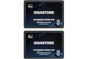 Gigastone Enterprise SSD 4TB (2-Pack) for SA500 24/7 Servers