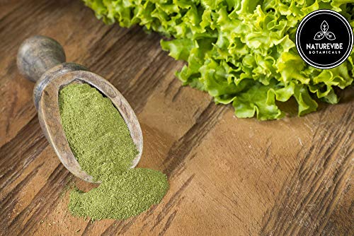 Naturevibe Botanicals Cabbage Powder, 1lbs | Non-GMO, Gluten Free and Vegan (16 ounces)