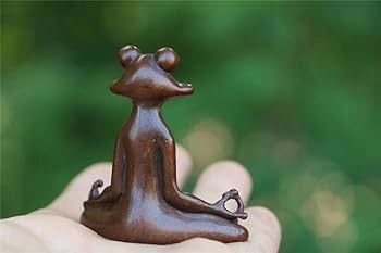 51HK5aS1zfL._AC_UF350,