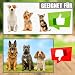Treppenschutzgitter für Hunde - Absperrgitter - Türschutzgitter - Hundeschutzgitter - Hundebarrieren - verstellbar Trennwand - ohne Bohren - 30-117cm breit - aus Holz