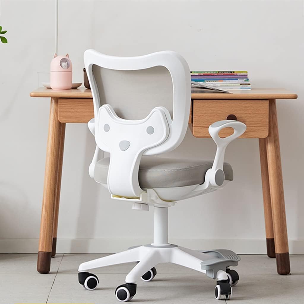 Kids Desk Chair, Height Adjustable Children Study Chair, Swivel Task Student Chair, Sit-Brake Casters, Child Computer Desk Chair for Boys Girls Age 3-10 (Color : /Gray)