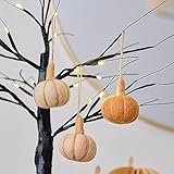 Ginger Ray Adorno Colgante de Calabaza de Fieltro para otoño, Halloween, decoración de árbol, Paquete de 3