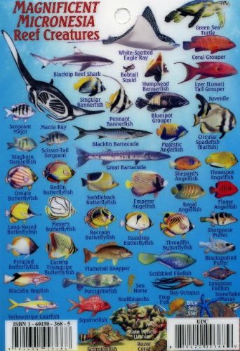 Micronesia Coral Reef Creatures Guide Franko Maps Laminated Fish Card 4" X 6" #TOP1