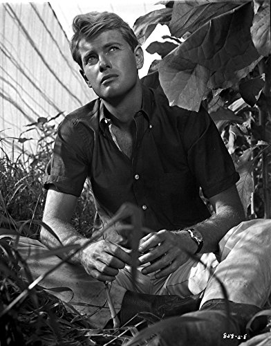 Troy Donahue in a bush Photo Print (8 x 10)