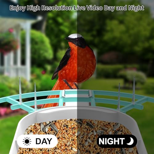 Image of Bird Feeder with Camera, Auto Capture Wiress Bird Feeder Camera, AI Identify Bird Breed,FHD Waterproof Outdoor Bird Watching Camera,Solar-Powered, for Garden,Yard,Park,Ideal Gift for Mom and Dad,Blue