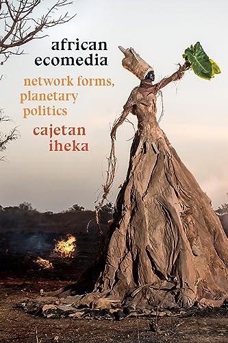 African Ecomedia view 2