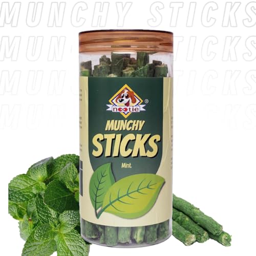 Nootie Munchy Sticks for All Stages Dogs, Perfect for Traning & Treating l Long Lasting Chew Pack of 1 (Mint) (B0CB993D5L) Amazon Price History, Amazon Price Tracker
