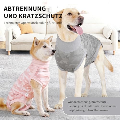 InfiniZer Hundebody Nach Op Medizinischer Body für Hunde Kastration Hündin Rüde Operationsbody Hund Body Nach Op Body Hund Shirt Leckschutz Wundschutzanzug für Hunde Einteiler Schlafanzug (Grau, XS)