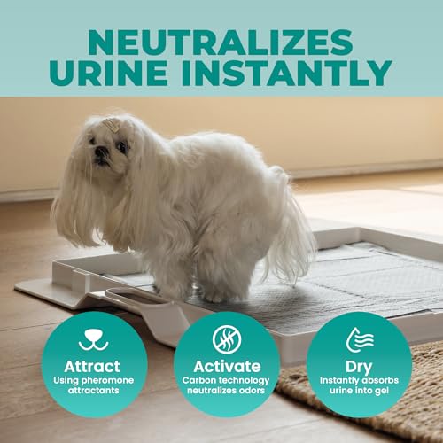 KindTail Pee Pads - 24 x 24 Inch Dog Training Pads for Pee PAWD - Leakproof & Absorbent with Adhesive Backing - Disposable, Odor-Filtering Charcoal Pads for Puppy Training - 100 Pack by KindTail - Image 5