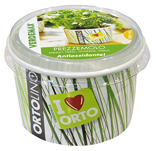 Verdemax 2027 Ortolino - Kit de perejil, Color Blanco y Verde