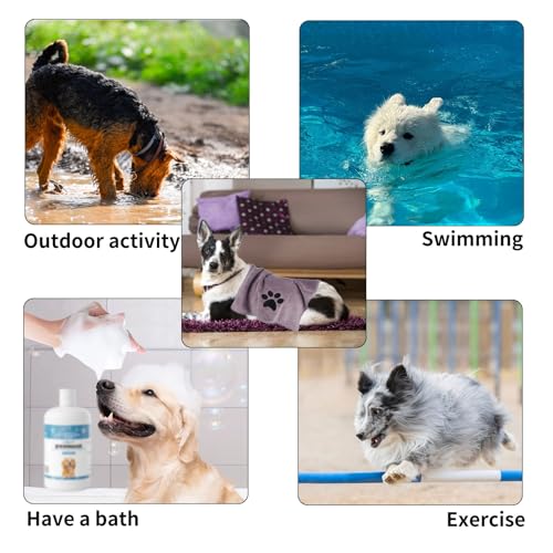 RUCUDIM Hundehandtuch,2 Stück Hundehandtuch Extra Saugfähig für Hunde Und Katzen,75 x 35 cm Schnelltrocknend Haustier Mikrofaser Handtücher,Geeignet für Katzen, Hunde und Andere Haustiere(Lila)