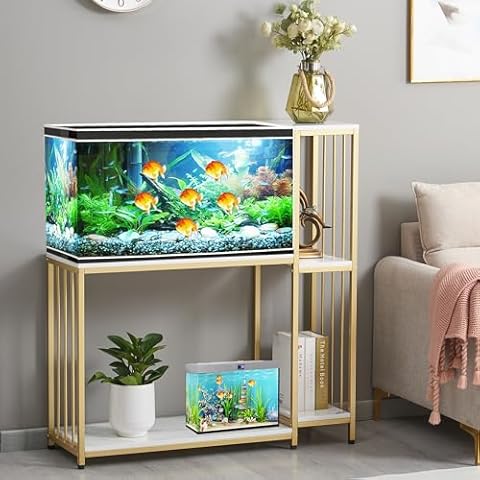GOLASON Fish Tank Stand for up to 29 Gallon Aquarium, Reptile Terrariums Tank Stand, Metal Wooden Aquarium Stand, Gold Cover