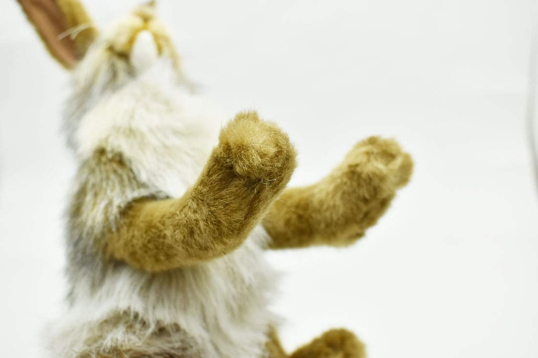Hansa Plush - 9" Blacktail Jack Rabbit - Image 7