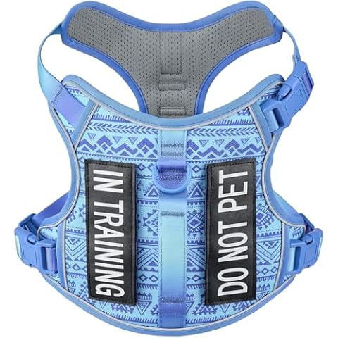 AUNZO No-Pull Dog Harness for XS Sized Dogs, Anti-Escape Easy Walking Reflective Adjustable Lightweight Dog Vest with Breathable Oxford Material, Easy on Easy Off with Neck Buckle, Blue XS Cover