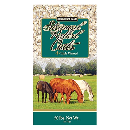 Bluebonnet Feeds Steam Rolled Oats