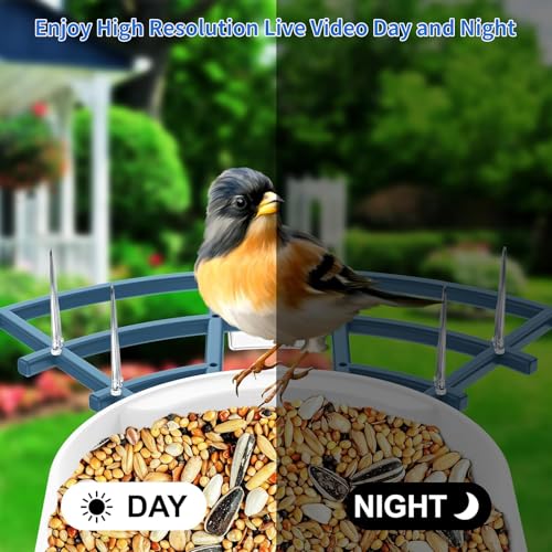Image of Fazoxo Bird Feeder with Camera,Birds House Camera,Solar Powered,AI Bird ID
