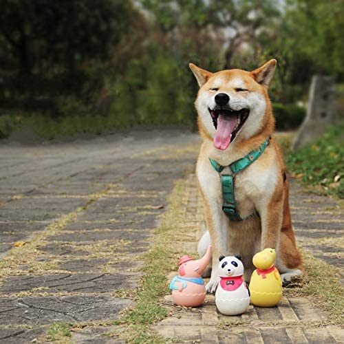 ☘️ 犬 おもちゃ 音の出る ラテックスゴム 犬噛む　運動不足 ストレス解消 Amazon.co.jp: 犬 おもちゃ 音の出る ラテックスゴム 犬噛むぎく 立ち