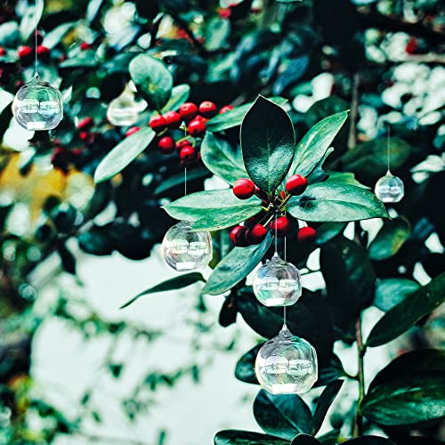 24 Pcs Hanging Glass Globes 2.4 Inch Mini Hanging Led Tea Lights Candle Holder Glass Terrarium Tealight Candle Holders Glass Orbs Outdoor Air Plants Succulents Wedding Diy Nuptio Garden Home Decor #TOP5