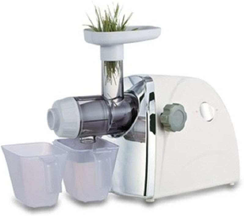 Horizontal Single Auger Slow Masticating Juicer Slow Juicer Masticating Juicer BPA-Free Extract Healthy Nutrition from Fruits and Vegetables