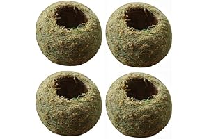 Charming Kokedama Moss Ball Planter: Natural Charm for Your Indoor Haven