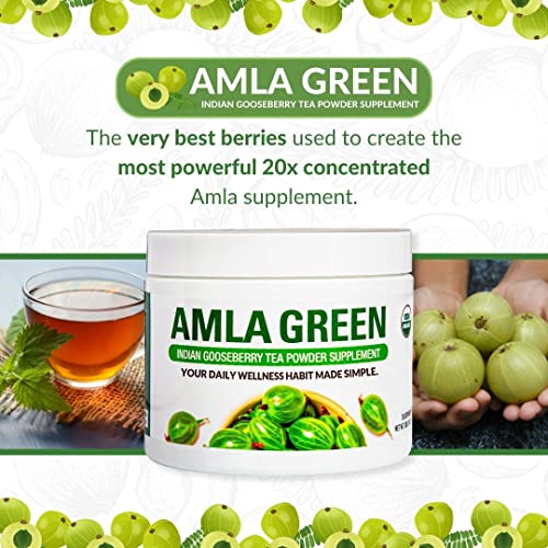Amla Green Tea Superfood Powder Supplement, Daily Greens Antioxidant Blend With Organic Oolong Tea, 20X Concentrated Amla, Indian Gooseberries, Smooth Flavor, Drink As Tea Or In Smoothies And Recipes, 30 Servings, Classic #TOP1