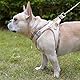 DORAMIO Hundegeschirr Kleine Hunde mit Leine, Step-in Geschirr Reflektierend Atmungsaktiv Brustgeschirr Anti Zug Sicherheitsgeschirr Katzengeschirr für Kleine Hunde, Katzen (Beige, S)