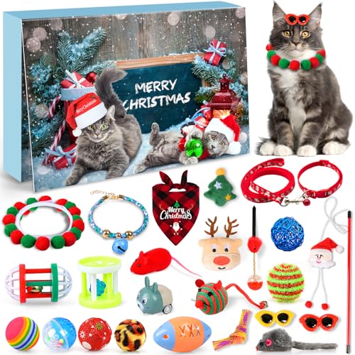 Weihnachtskalender für Katzen