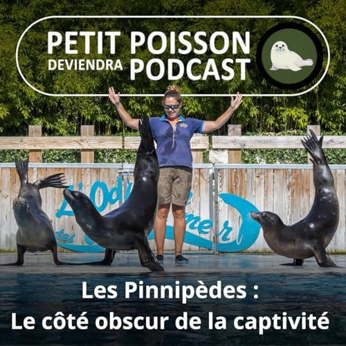 S05E36 : Condamn&eacute;s &agrave; nous divertir, ou la face cach&eacute;e de la captivit&eacute; des Pinnip&egrave;des