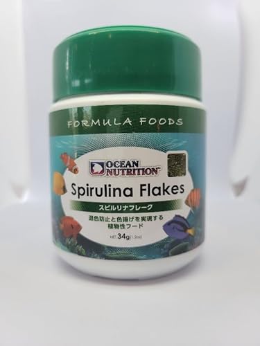 I[Vj[gV Xsit[N 34 Cpt[h