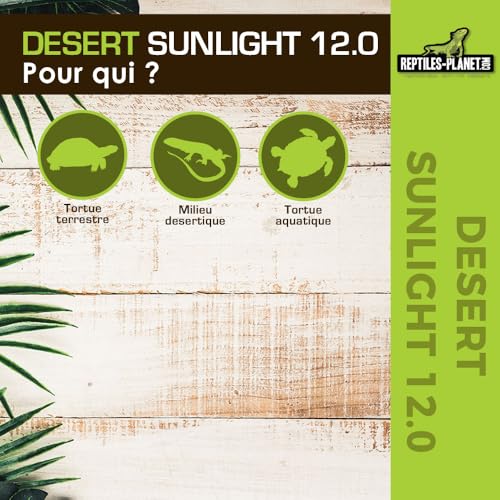 Reptiles Planet T5 UVB 12.0 Desert Sunlight Beleuchtung für Reptilien/Amphibien, 8 W, 29 cm, Durchmesser 16 mm