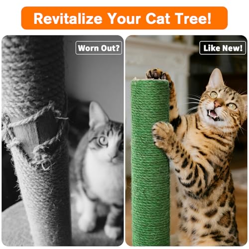 Poteaux de rechange pour arbre à chat vert dans le salon - 5