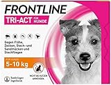 FRONTLINE