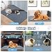 HOBBTREE 6 Packs Washable Guinea Pig Cage Liners, Waterproof Guinea Pig Pee Pads Reusable Absorbent Bedding Anti Slip Mats for Small Animals Bunny Rabbit Hamster (12 x 12in)