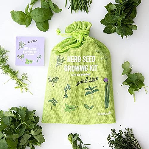 Scott&Co Herb Seed Grow Your Own Kit, 10 Herb Seeds Varieties, Basil, Coriander, Chives and More, Sowing and Growing Guide, Pots, Plant Labels and Peat Free Compost, Gardening Gifts for Women and Men