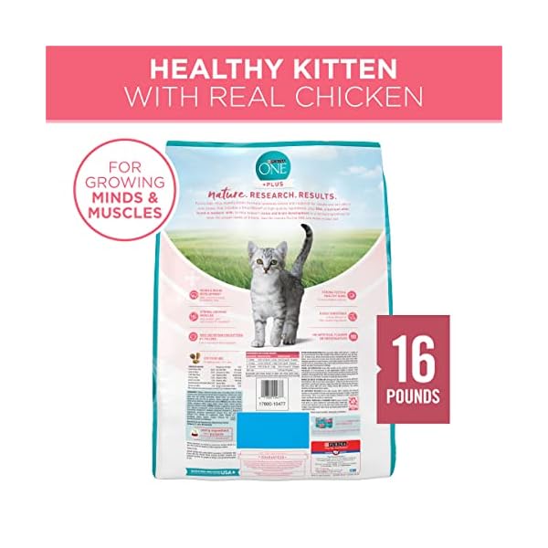 PURINA ONE Dry Cat Food, Healthy Kitten Formula, 16-Pound Bag by – Bild 7
