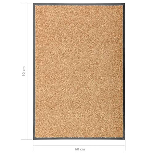 Tapis de propreté lavable pour éliminer les traces de pas dans l'entrée