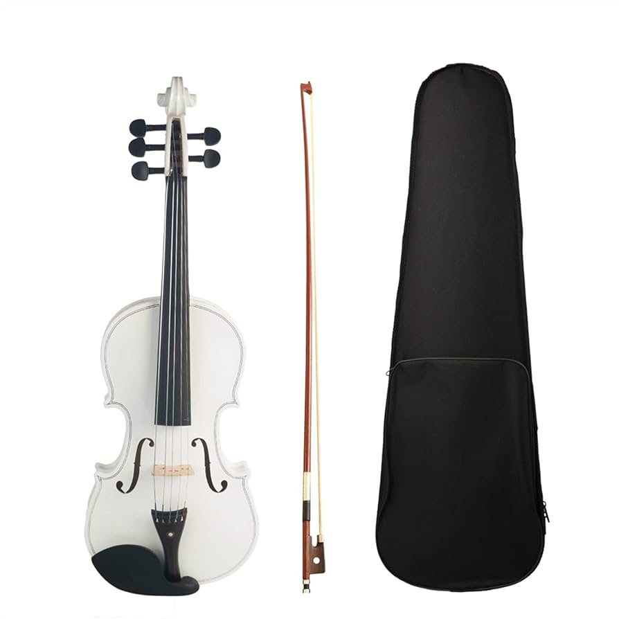 バイオリンの弦　　新品　　5本 バイオリンの弦 新品 5本 20250505_7f775613-76eb-4d62-